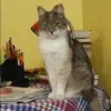 Отзыв от Алевтина Пастухова